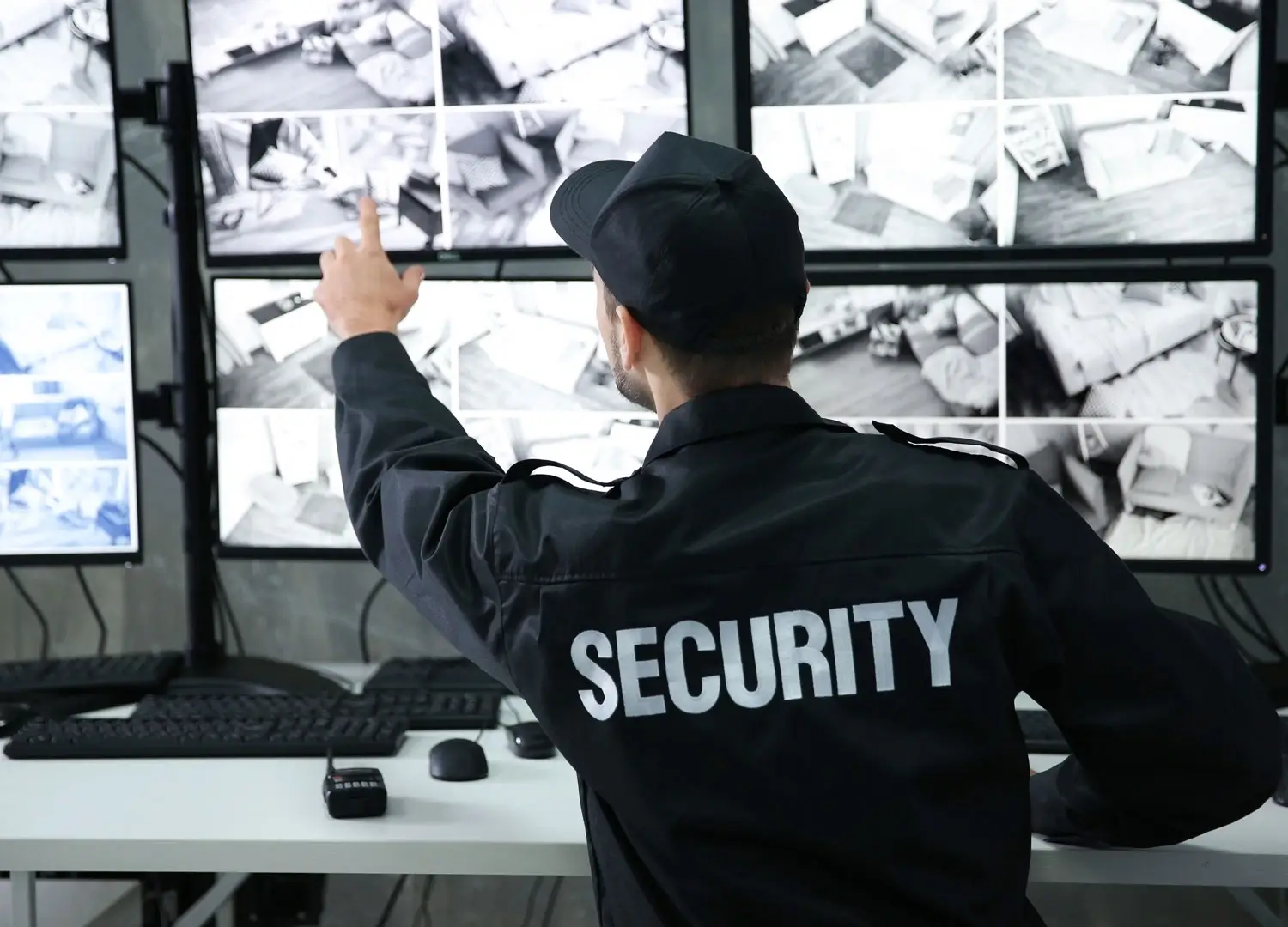 Security-Systems-and-Services